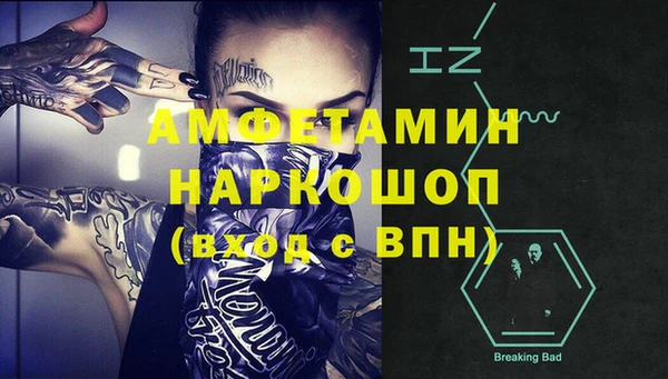 прущие грибы Балахна